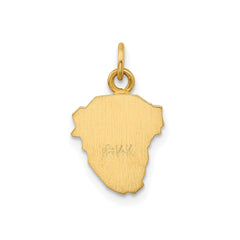14k Real Yellow Gold Polished and Satin Jesus Medal Charm Pendant, 0.5x0.5