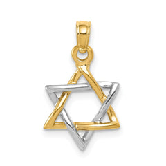 14K Two-Tone Gold Polished Star of David Pendant, 13mm