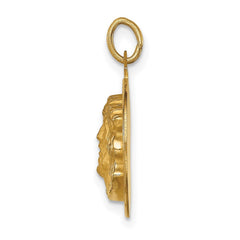 14k Real Yellow Gold Polished and Satin Small Round Jesus Medal Pendant, 0.5 Inch Diameter - JewelryAffairs