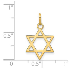 14k Yellow Gold Star of David Pendant Charm, 21x14mm