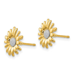 14K Yellow Real Solid Gold Daisy Flower Stud Earrings, 10mm Diameter
