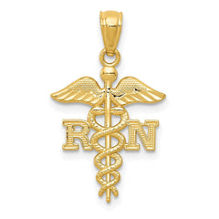 10k Yellow Gold Diamond-cut RN Registered Nurse Pendant, 24mm