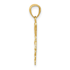10k Yellow Gold Diamond-cut RN Registered Nurse Pendant, 24mm