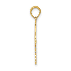 14k Yellow Gold Caduceus Registered Nurse Cap Pendant, 30x15mm