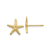 14k Real Solid Gold Starfish Stud Earrings, 11mm