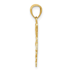 10k Yellow Gold Diamond-cut RN Registered Nurse Pendant, 24mm