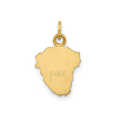 14k Real Yellow Gold Polished and Satin Jesus Medal Charm Pendant, 0.5x0.5 - JewelryAffairs
