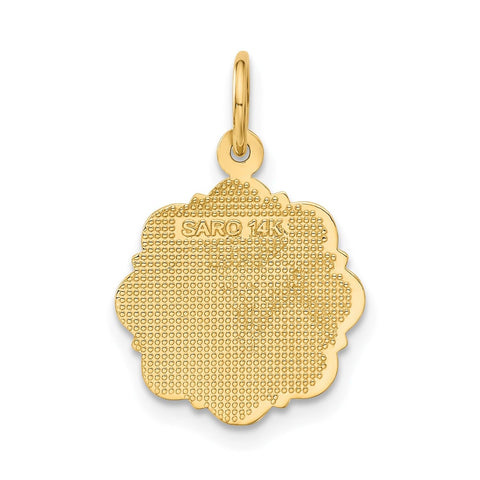 14k Yellow Gold RN Registered Nurse Disc Charm Pendant, 14mm