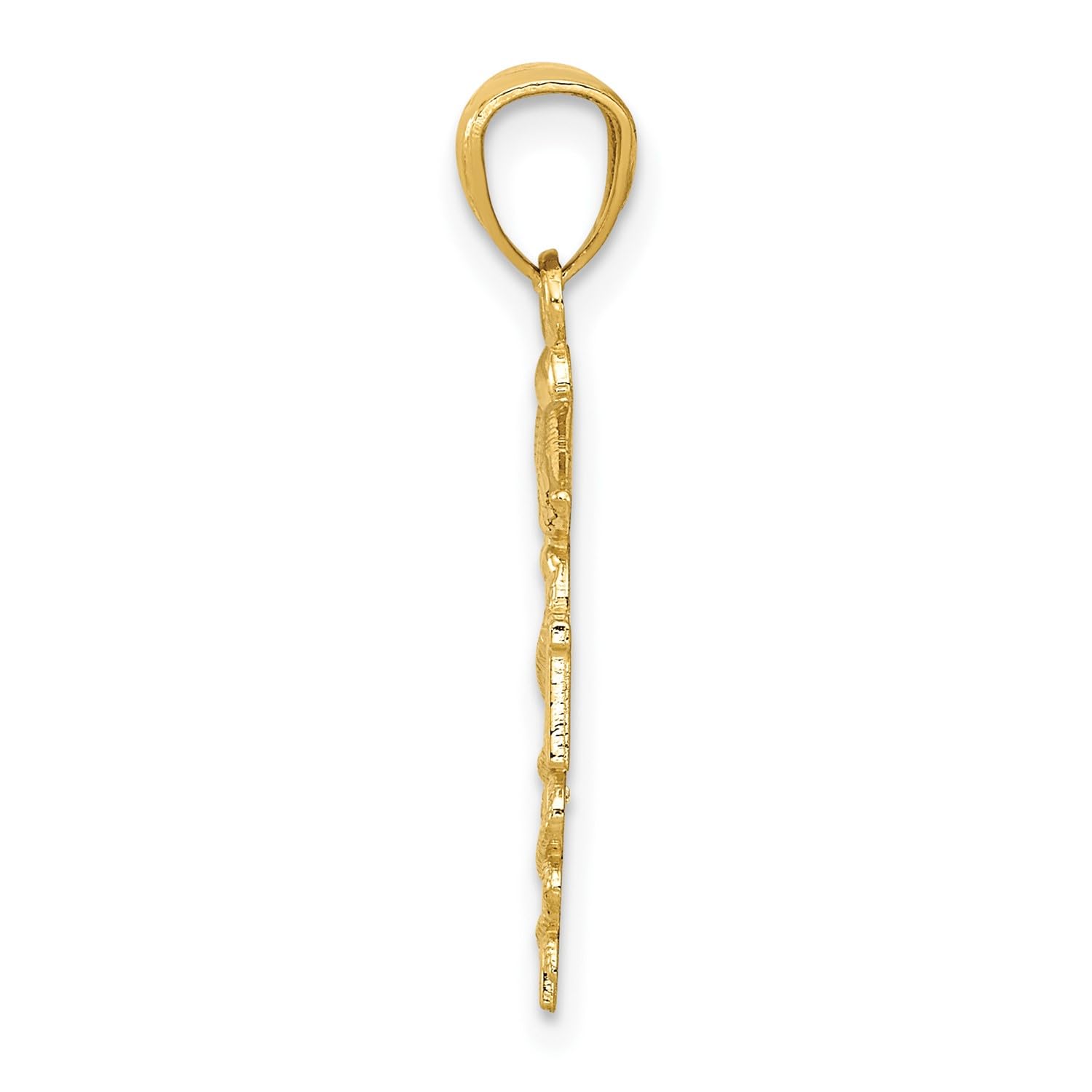 10k Yellow Gold Diamond-cut RN Registered Nurse Pendant, 24mm
