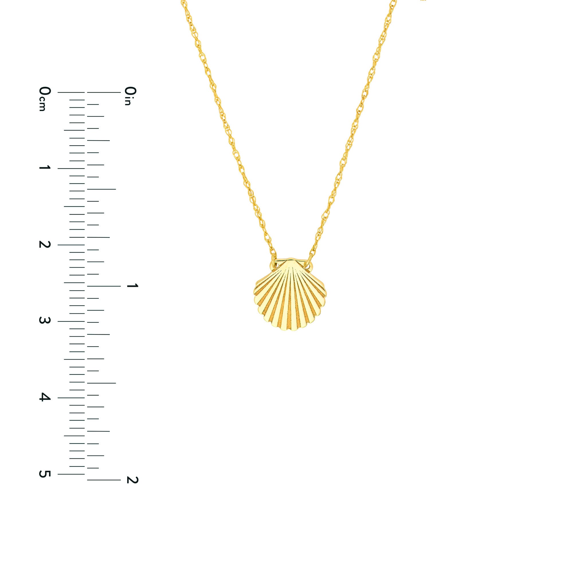 14k Yellow Gold Seashell Pendant Adjustable Necklace, 16"to 18"