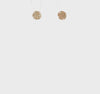 14k Real Yellow Gold Diamond-Cut Sand Dollar Post Stud Earrings, 8mm