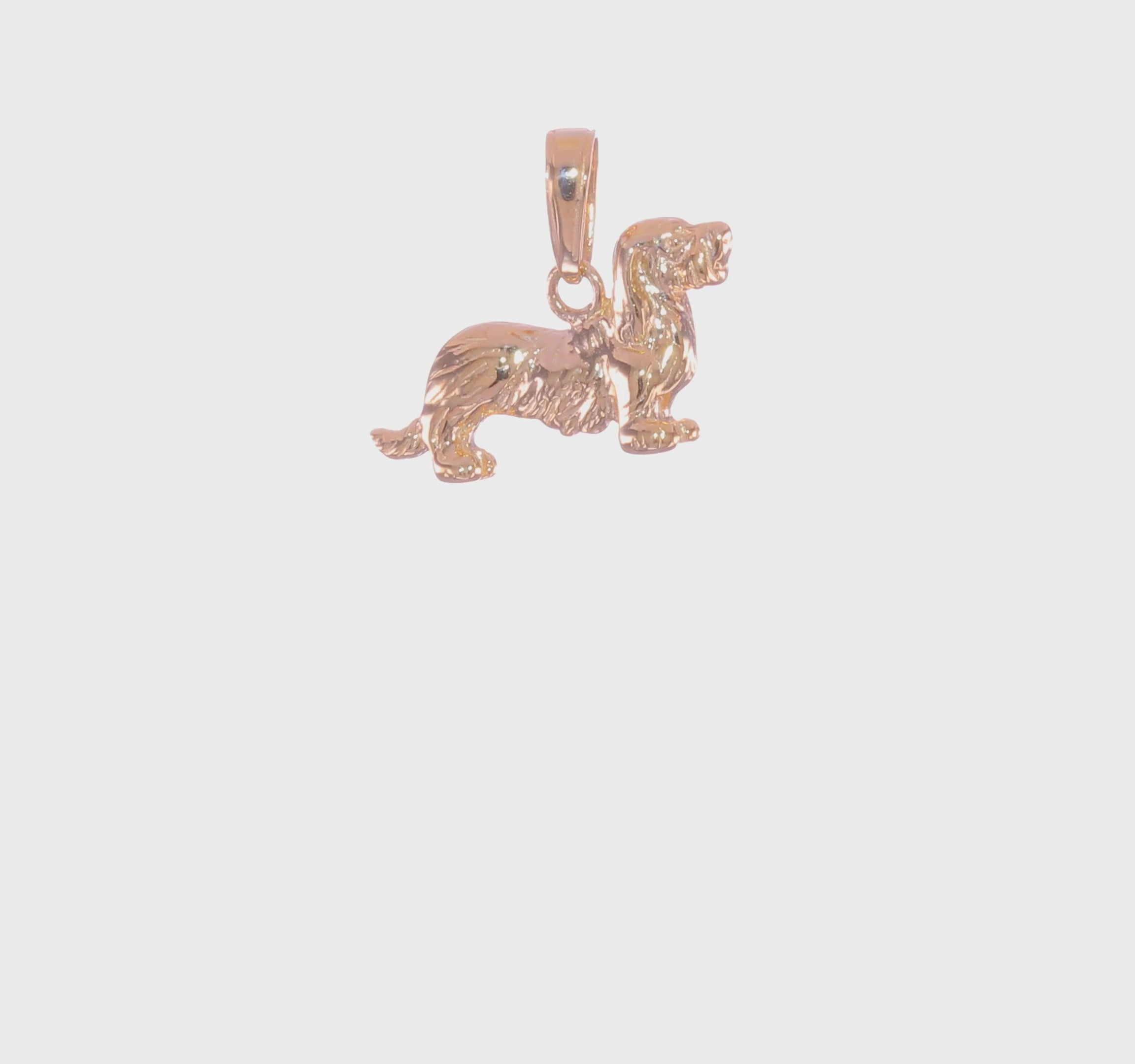 14k Yellow Gold Long-Haired Dachshund Dog Pendant Charm, 14x17mm