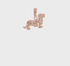 14k Yellow Gold Long-Haired Dachshund Dog Pendant Charm, 14x17mm