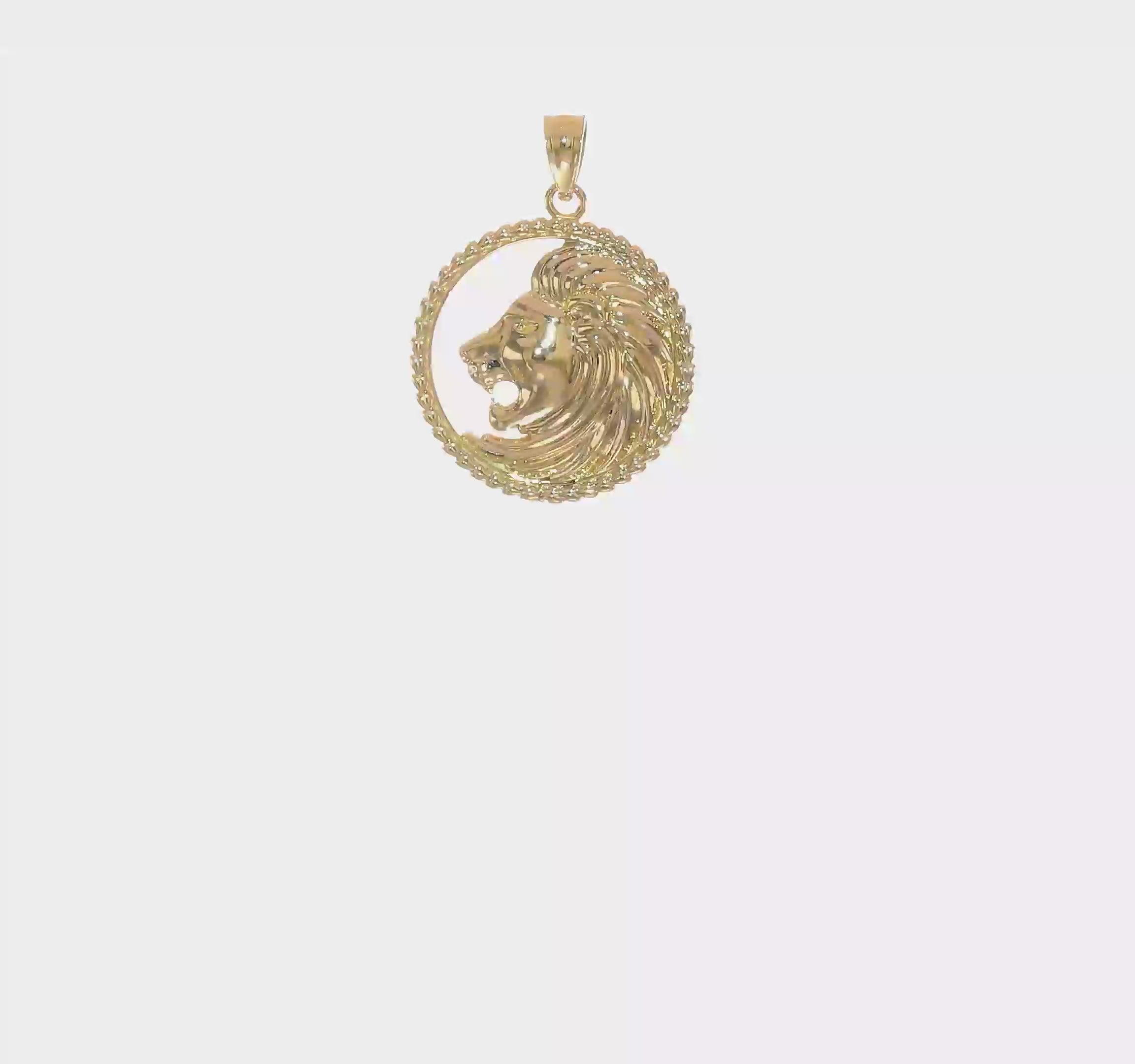 14k Yellow Gold Lion Head with Mane in Textured Circle Pendant, 25mm