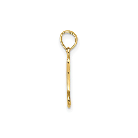 Solid Yellow Gold High Polished Mini Dog Bone Charm Pendant, 17x6mm