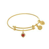January Heart Shape CZ Birthstone Charm Adjustable Bangle Girls Bracelet